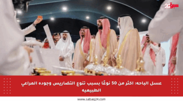 عسل الباحة: أكثر من 50 نوعًا بسبب تنوع التضاريس وجودة المراعي الطبيعية